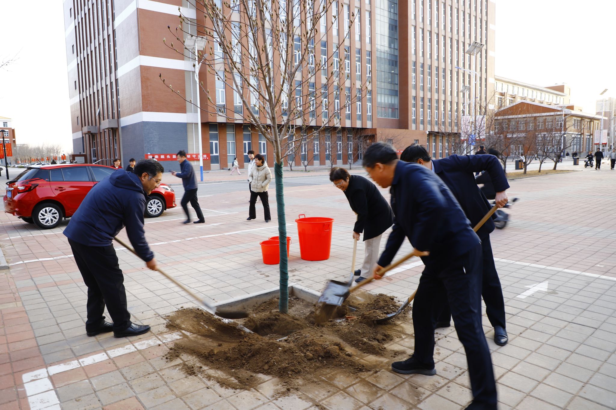 【“三风”建设在行动】亲手栽下玉兰树，树人立木美校园——校领导带头开展植树活动